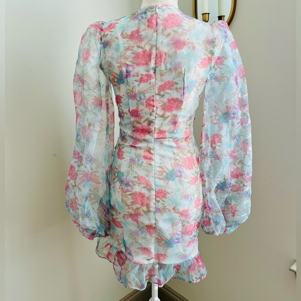 Pretty Little Thing Fairy Sheer Floral Corset Mini Dress - Picture 6 of 7